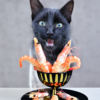 Prawns for Confucius !