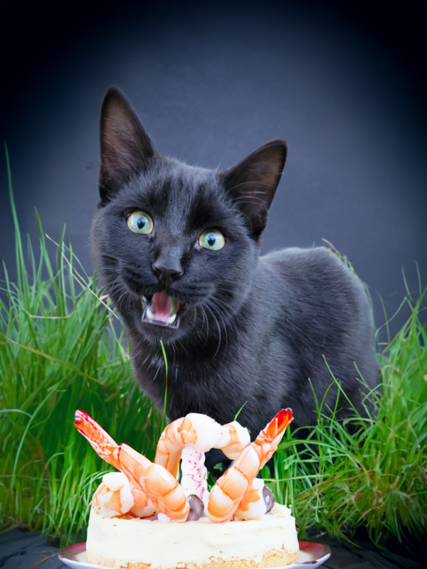 Prawns for Confucius !